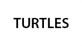 TURTLES